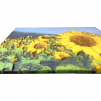 ComeTrue highlights Relief Sculpture 3D printing